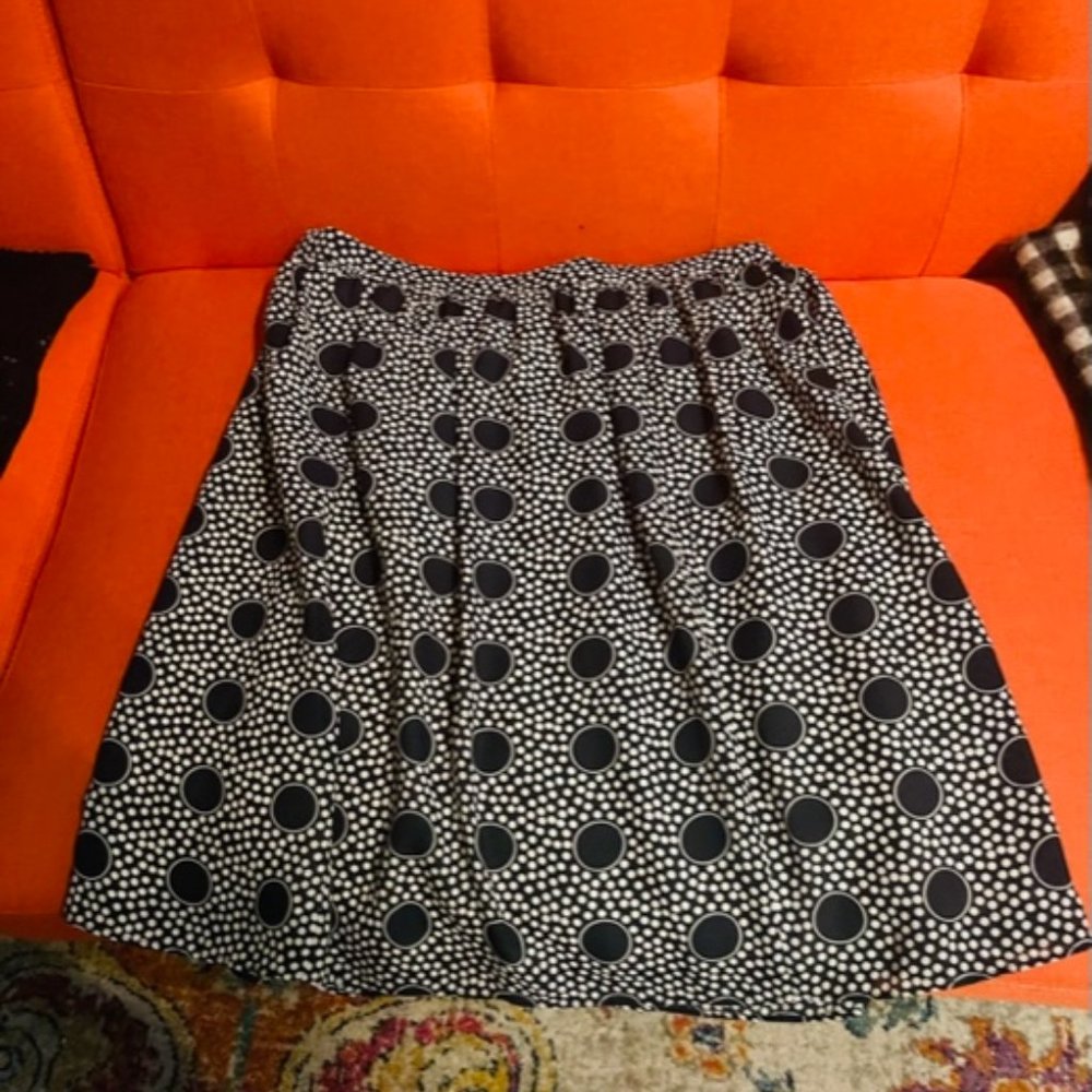 Pleated midi J Crew